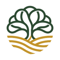 Cedar Rapids Tree Service
